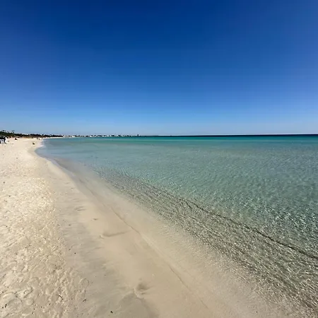 Licasedimare סנט'איזידורו