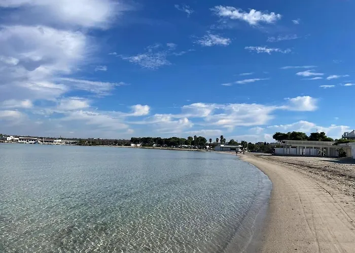 Licasedimare