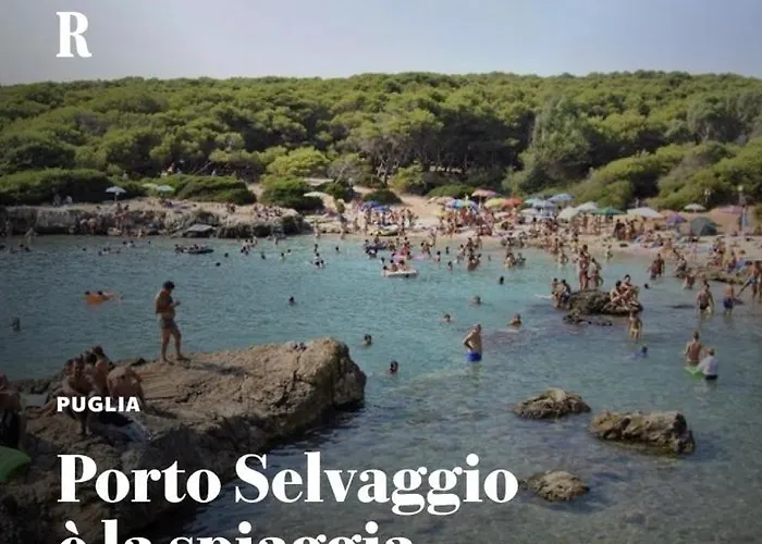 Tatil Evi Licasedimare *