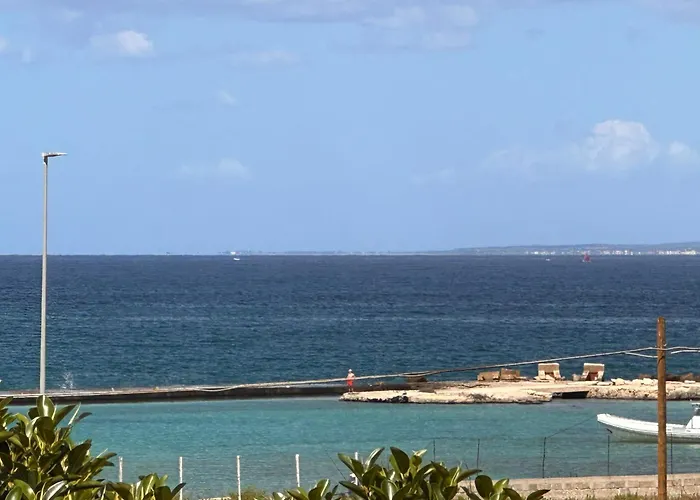 Licasedimare